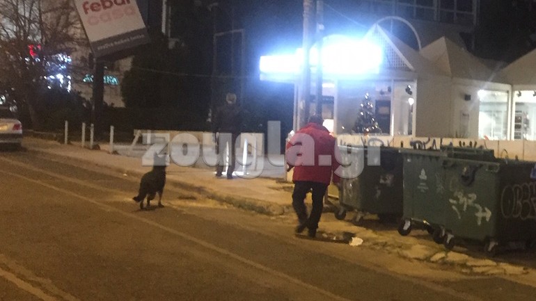 O σκύλος ανίχνευσης εκρηκτικών υλών