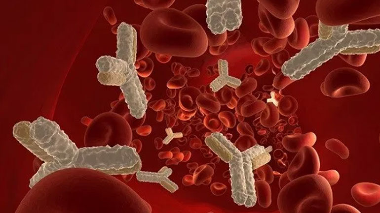 Τα κύτταρα του ανοσοποιητικού και η σεξουαλική συμπεριφορά