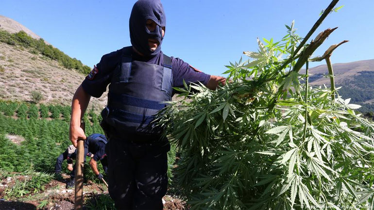 Αλβανία: «Κολομβία της Ευρώπης». Το πρόβλημα των καρτέλ ναρκωτικών είναι μεγάλο