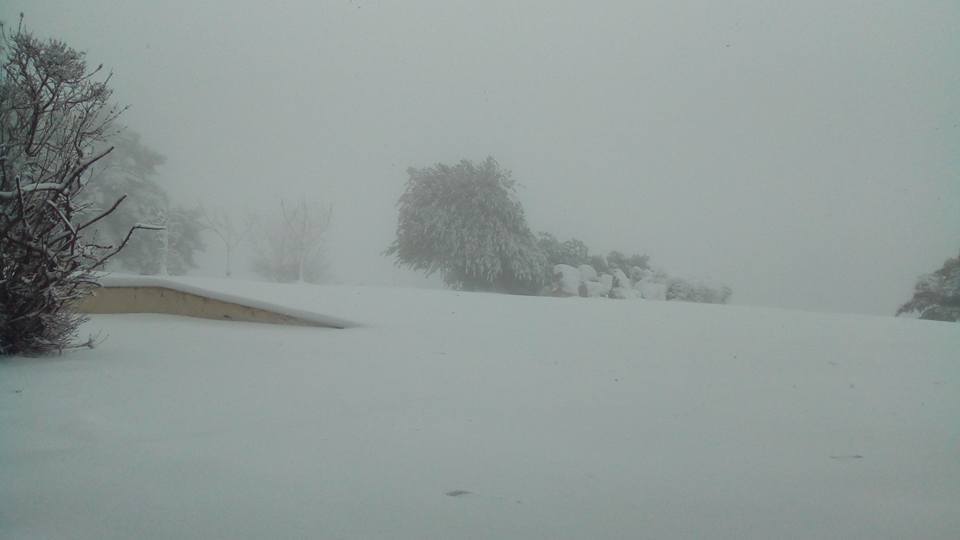 Forecastweather.gr: Φωτογραφία σημερινή από Πάρνηθα