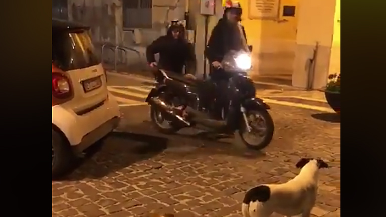 How2: Πώς να μην σας κυνηγάνε τα σκυλιά στο δρόμο!