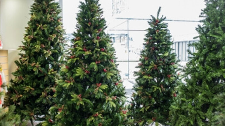 Ηράκλειο: Πρόγραμμα ανακύκλωσης χριστουγεννιάτικων δέντρων από το δήμο