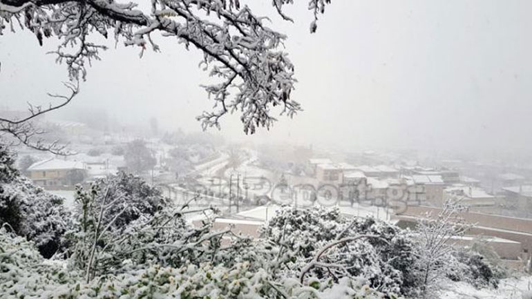 Στα λευκά η Λαμία