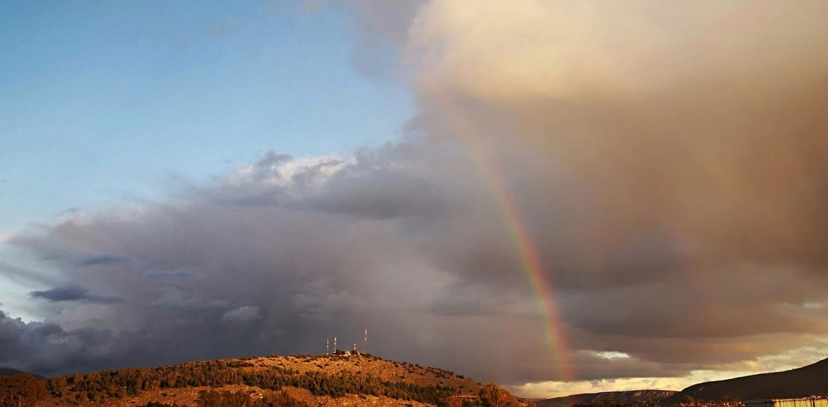 Το γλυκό πρόσωπο της “Σοφίας”