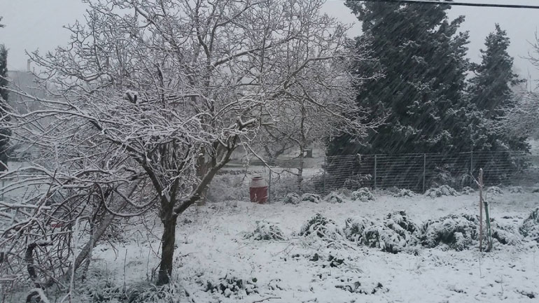 Κέρκυρα: Στα… λευκά ντύθηκε ο Παντοκράτορας