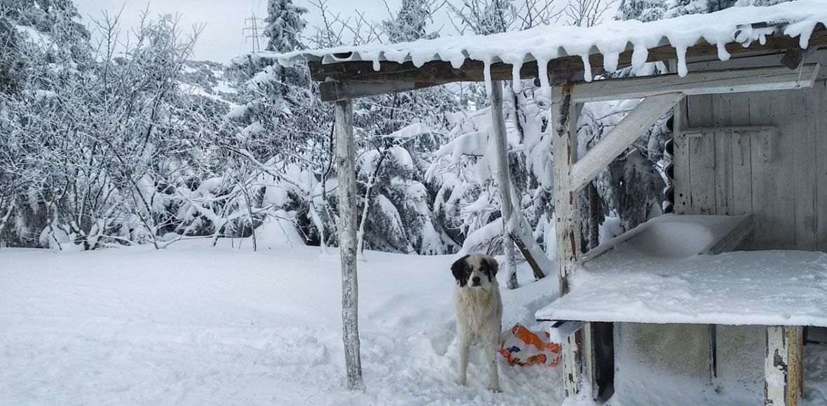 Παγωμένος ο Δομοκός