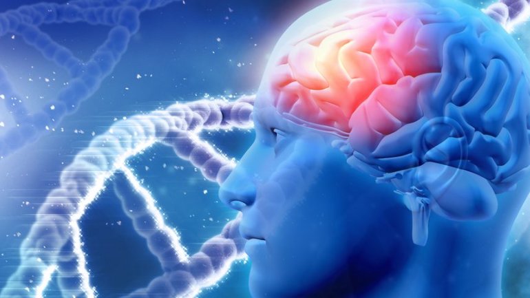 Τοξίνη που ταξιδεύει από το στομάχι στον εγκέφαλο μπορεί να προκαλέσει Πάρκινσον