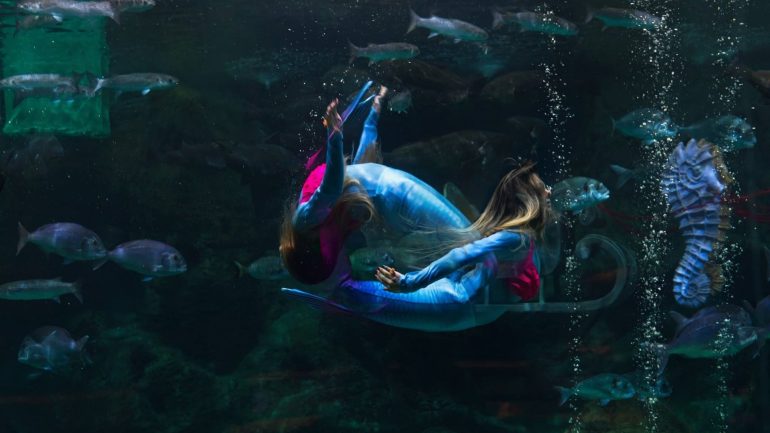 Κρήτη: Εντυπωσιακός ο αγιασμός στο Ενυδρείο