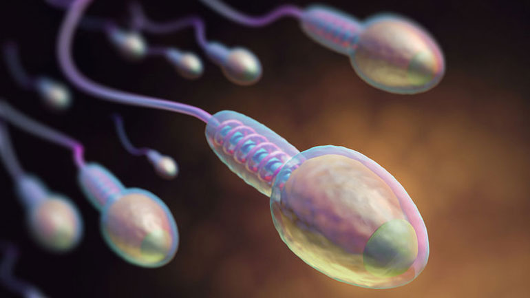 Δεκατέσσερις τρόποι για να αυξηθεί ο αριθμός των σπερματοζωαρίων