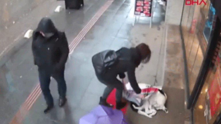 Τουρκία: Το «δώρο» μίας γυναίκας σε ένα αδέσποτο σκυλάκι!