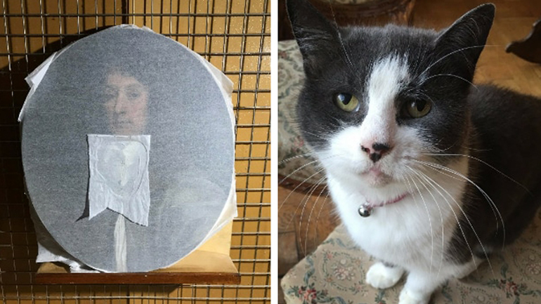 Γάτα κατέστρεψε σπάνιο, πολύτιμο έργο τέχνης