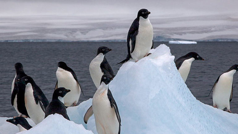 Η Ανταρκτική χάνει εξαπλάσιους πάγους κάθε χρόνο από όσους πριν από 40 χρόνια