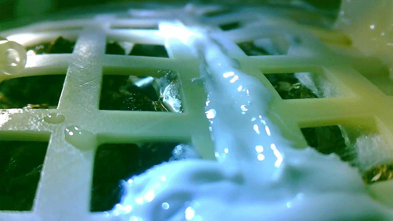 Ιστορική πρωτιά από την Κίνα: Βλάστησε σπόρος βαμβακιού στη Σελήνη