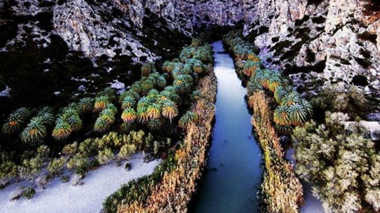 Ρέθυμνο: Σπάνια εικόνα από το χιονισμένο Φοινικόδασος της Πρέβελης