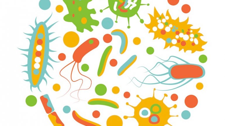 Το μικροβίωμα του εντέρου μπορεί να αποκαλύψει την ηλικία σας