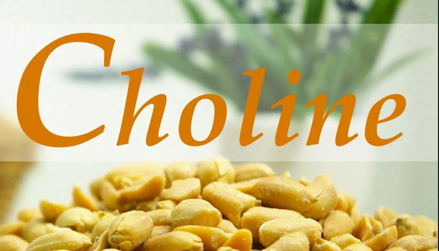 Μπορεί η χολίνη να βοηθήσει στην καταπολέμηση της νόσου Αλτσχάιμερ;