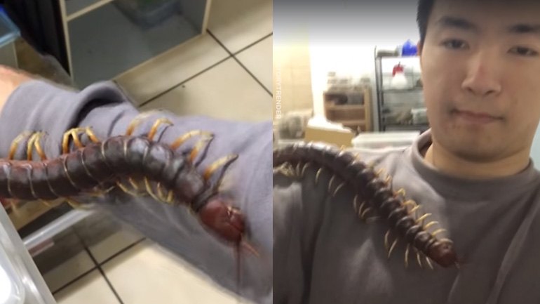 Αντέχεις να δεις το βίντεο μέχρι τέλους;