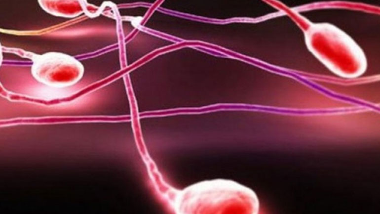 Τεχνικές πρόκλησης εκσπερμάτισης