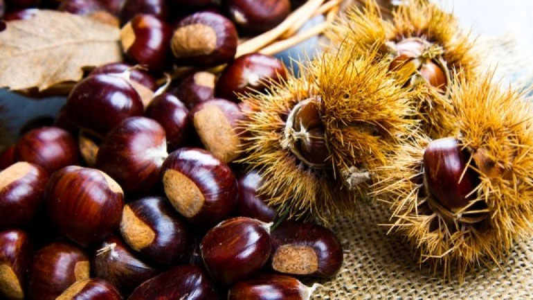 Έβγαλε τα κάστανα από τη φωτιά ο Μπούρας