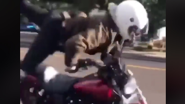 Μια σούζα όχι και τόσο καλή ιδέα