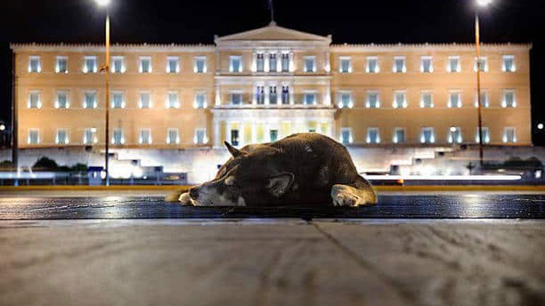Φιλοζωική Ομοσπονδία: Μεγάλο βήμα στη Βουλή προς τη Συνταγματική Κατοχύρωση της Προστασίας των Ζώων