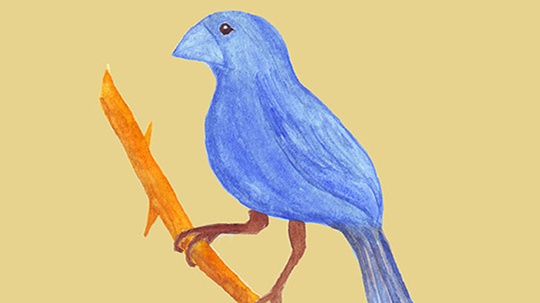 «Modinha… ένα βραζιλιάνικο τραγούδι» με τη σοπράνο Ρωξάνη Παπαδημητρίου και την κιθαρίστα Δέσπω Βαρουδάκη