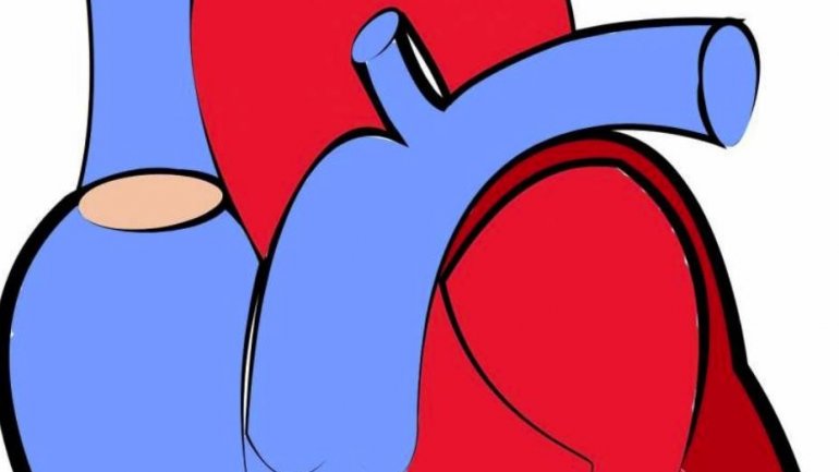 Ο κίνδυνος καρδιακής νόσου μπορεί να αρχίζει από τη μήτρα