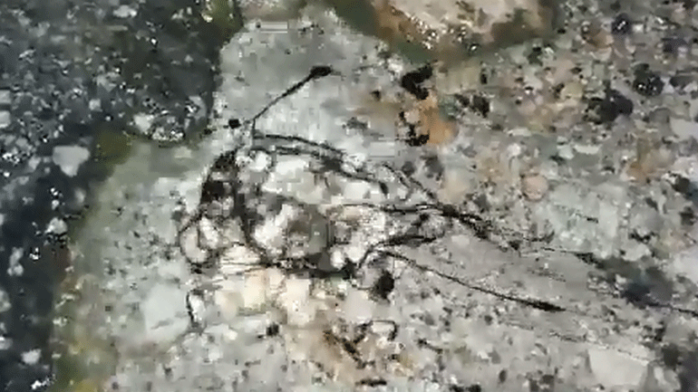 Ζάκυνθος: Η άσφαλτος αναβλύζει πετρέλαιο λίγο πριν τον σεισμό