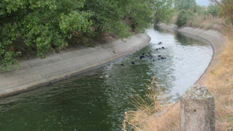 Θρίλερ με τον εντοπισμό πτώματος σε αρδευτικό κανάλι στη Θεσσαλονίκη