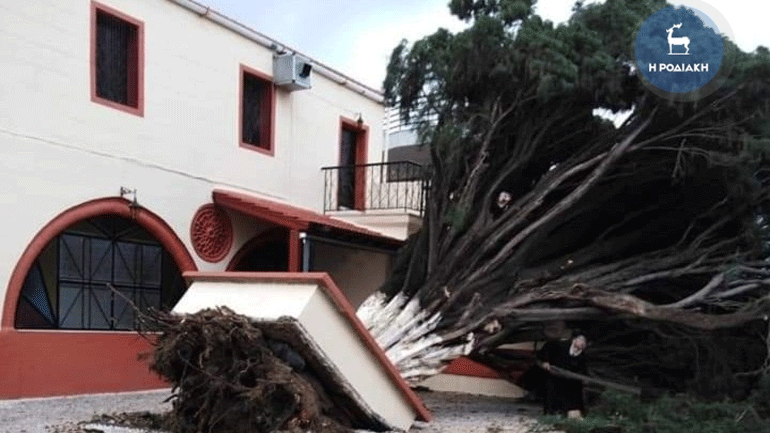 Ρόδος: Εκριζώθηκε κυπαρίσσι 100 ετών στην εκκλησία Μαριτσών