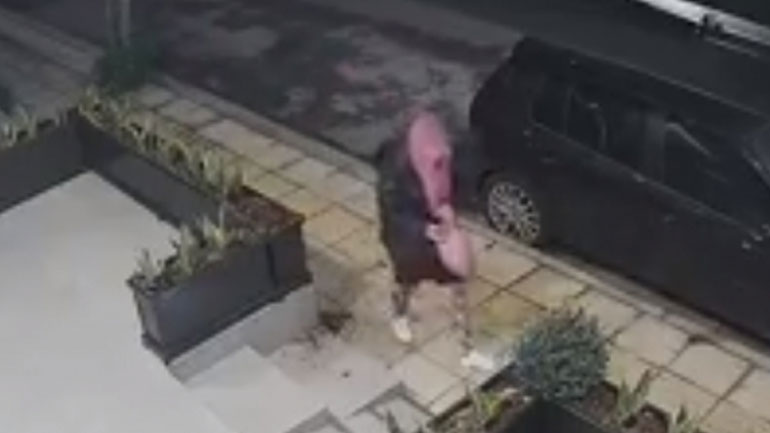 Ηράκλειο: Ξερίζωσε τα λουλούδια επιχείρησης και εξαφανίστηκε