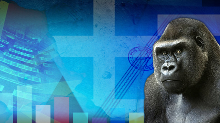 Μεγάλη διαδικτυακή δημοσκόπηση της “Ζούγκλας”