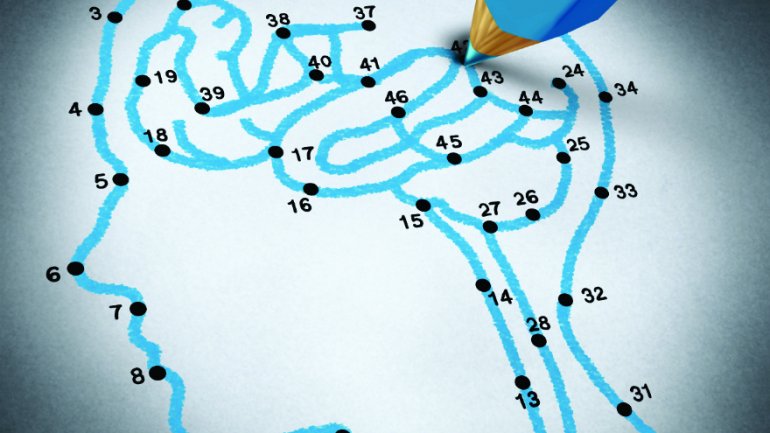 Αυτό που τρώτε μπορεί να επηρεάσει τον εγκέφαλο και τη μνήμη σας