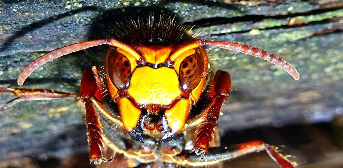 Η ομορφιά της φύσης