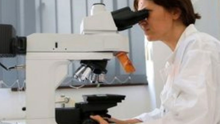 Ρουμανία: «Στους 61 οι νεκροί από τον ιό της γρίπης»