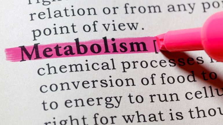 Ανακαλύφθηκαν κύτταρα του εντέρου που επιβραδύνουν τον μεταβολισμό