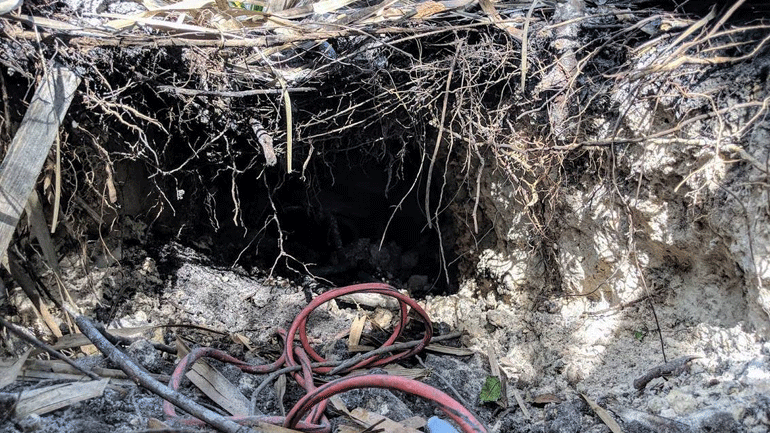 ΗΠΑ: Λακκούβα στο οδόστρωμα έκρυβε… τούνελ που οδηγούσε σε τράπεζα