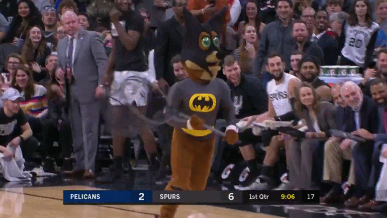 Νυχτερίδα διέκοψε το ματς Σπερς-Πέλικανς!