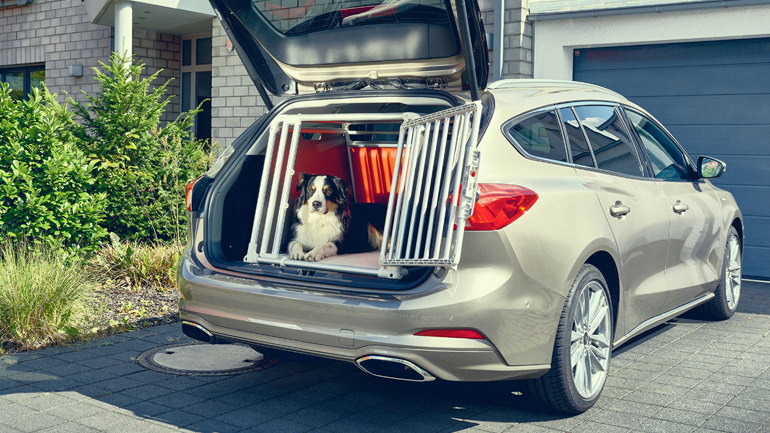 Η Ford έφτιαξε το μεγαλύτερο κλουβί για σκύλους