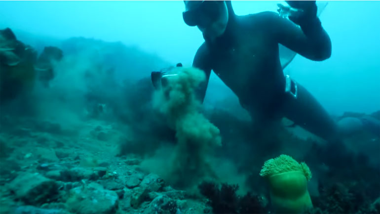 Αθλήτρια από την Τουρκία έκανε ελεύθερη κατάδυση στην Ανταρκτική