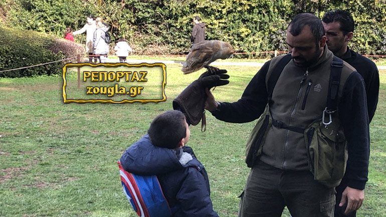 Γνωρίστε τον άνθρωπο που τιθασεύει τα άγρια αρπακτικά στον αττικό ουρανό