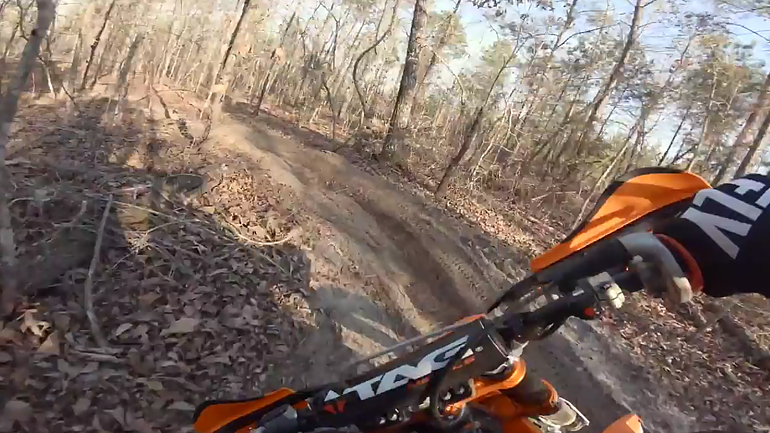 Τσίτα τα.. κλαδιά!