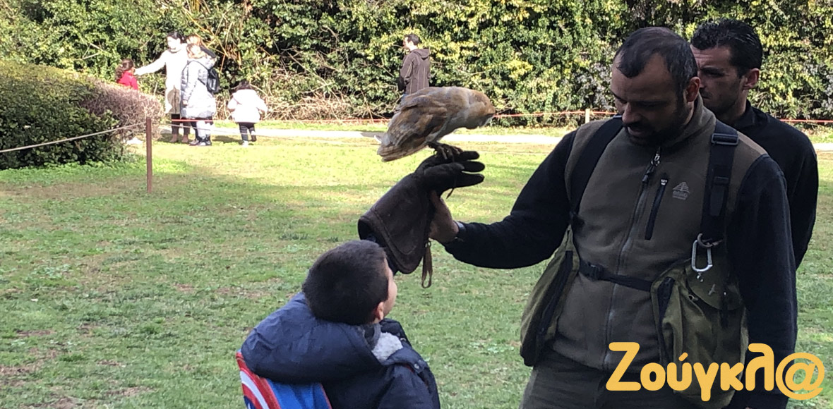 Ο “γερακάρης” του Βοτανικού