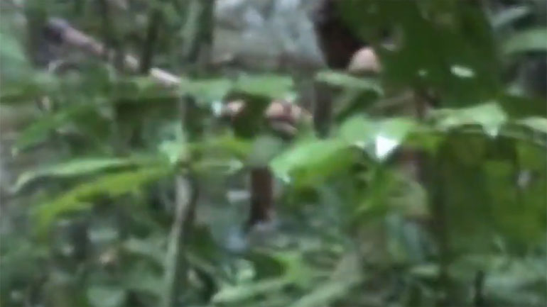 Αυτός είναι ο τελευταίος επιζών φυλής του Αμαζονίου