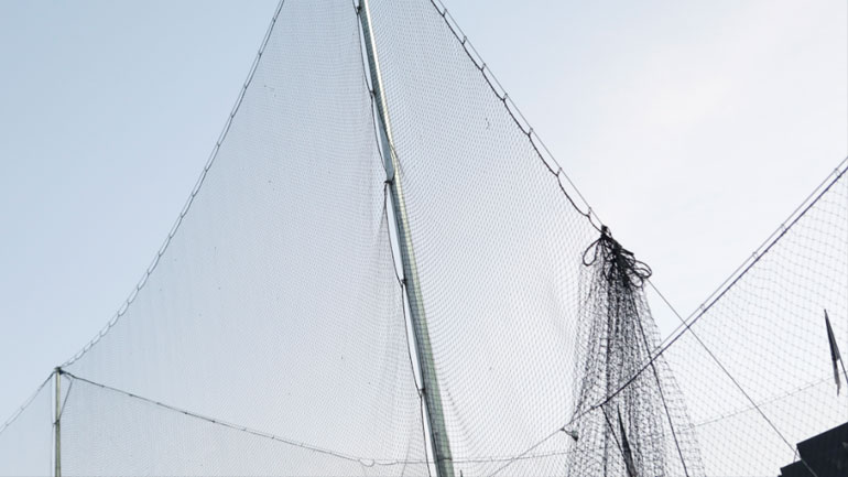 Το προστατευτικό δίχτυ που έχει μπει περιμετρικά του γηπέδου της Τούμπας