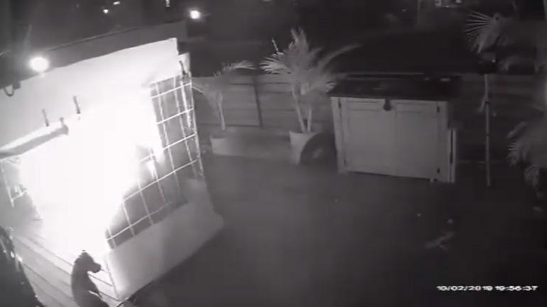 Σκύλος παίζει με αναπτήρα και προκαλεί πυρκαγιά