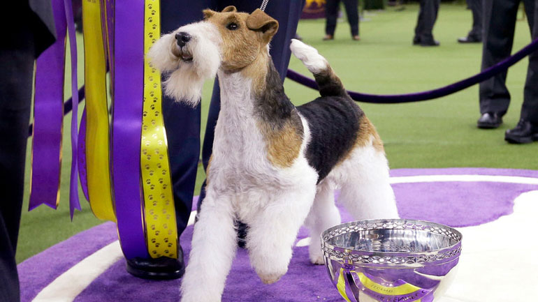 Αυτός είναι ο «Bασιλιάς»