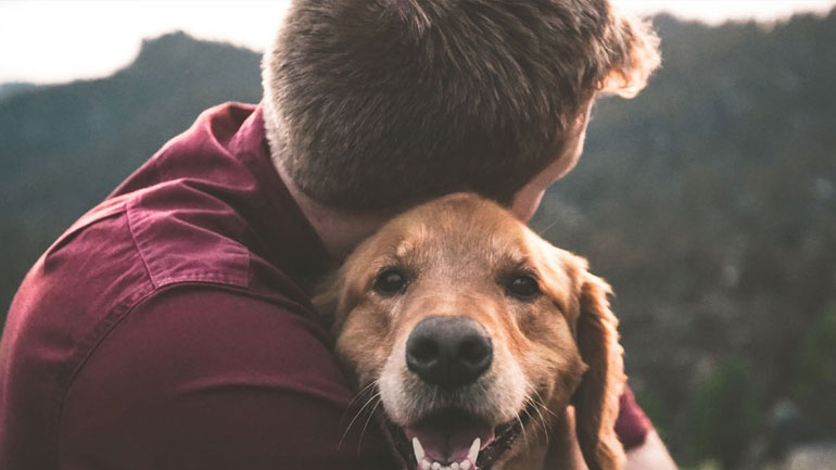 Με ποιον τρόπο τα κατοικίδια μας βοηθούν ψυχολογικά