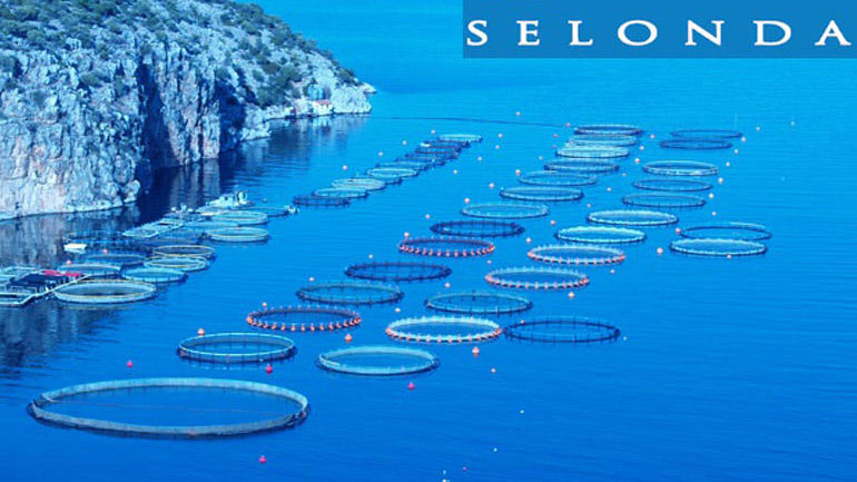 Ε.Ε: Εγκρίνεται, υπό όρους, η εξαγορά των Νηρέα και Σελόντα