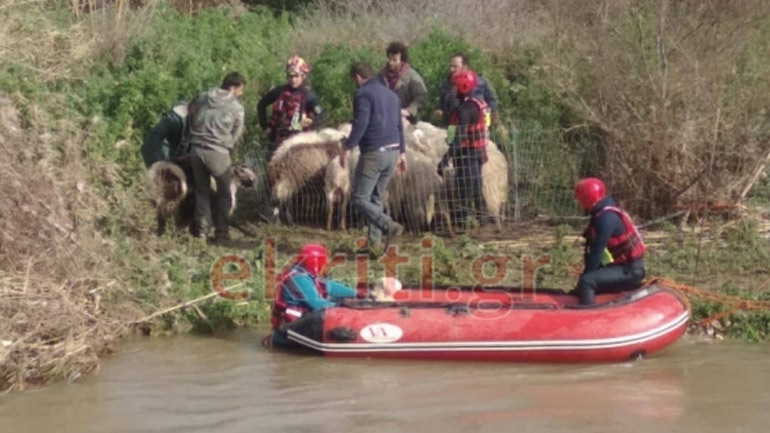 Κρήτη: Καρέ-καρέ επιχείρηση της 3ης ΕΜΑΚ για εγκλωβισμένα ζώα